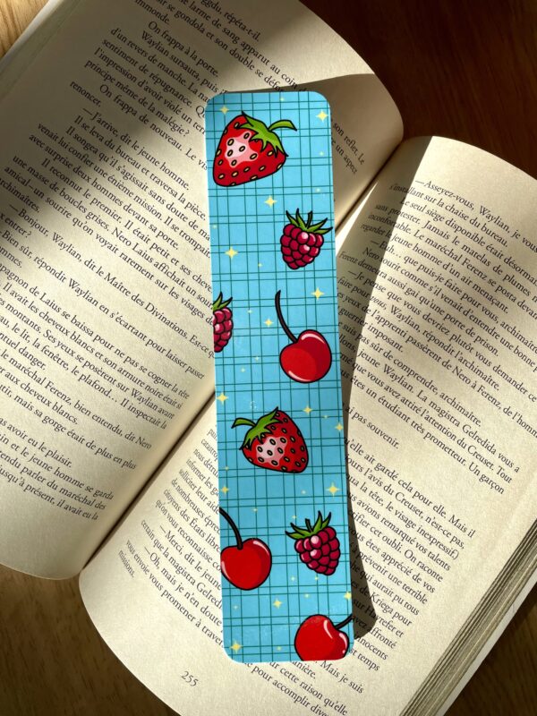 Marque-pages Fruits rouges - Collection Pause gourmande