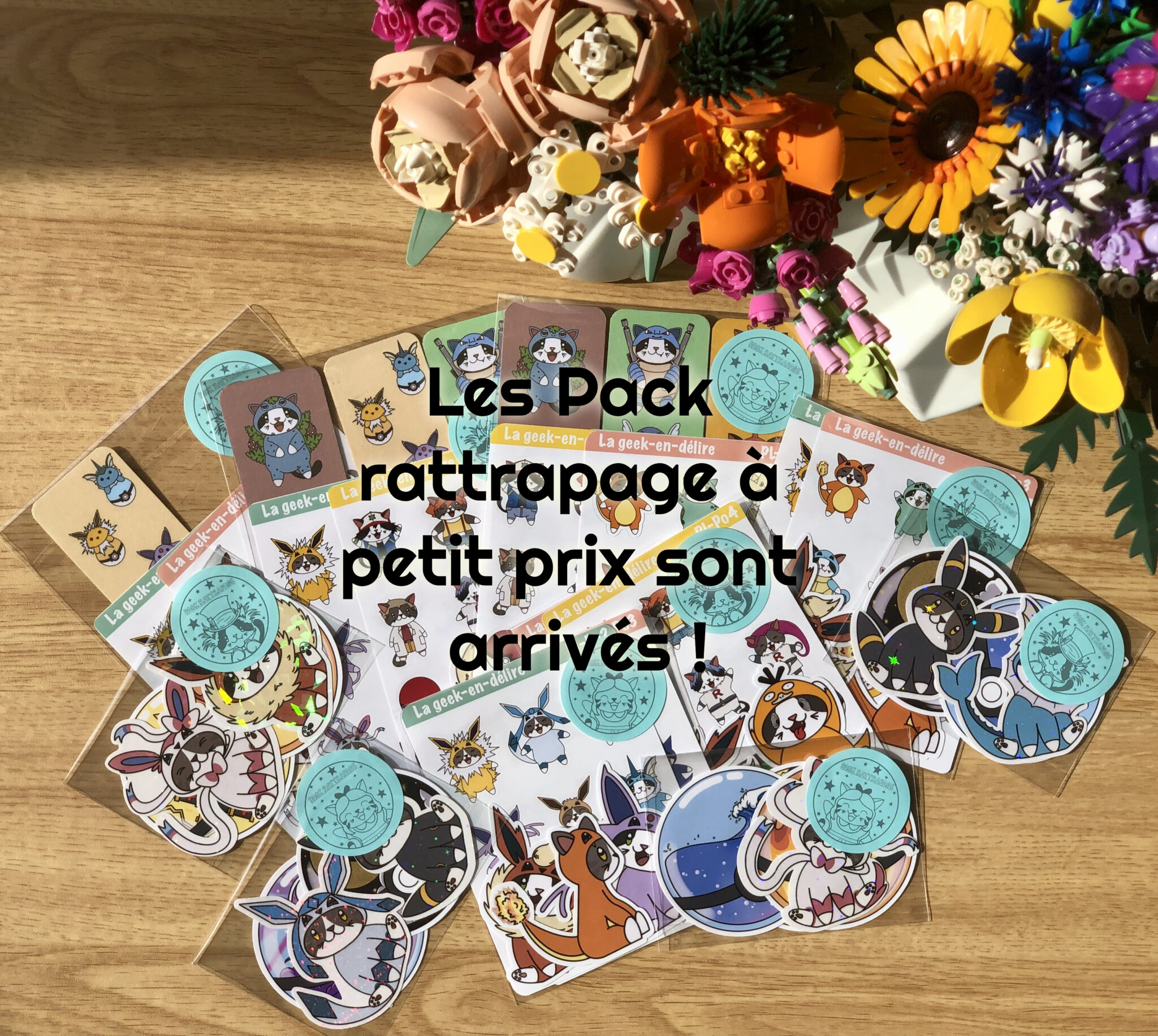 pack rattrapage Pokémon carrousel