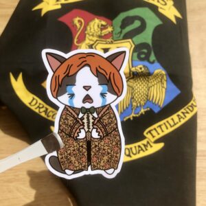stickers Ron Harry Potter