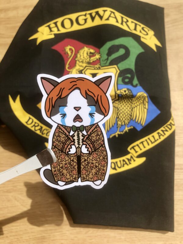 stickers Ron Harry Potter