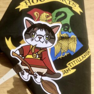 stickers Harry Potter Quiddich