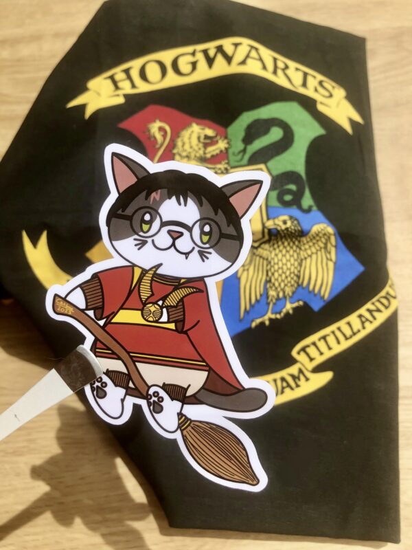 stickers Harry Potter Quiddich