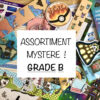 ASSORTIMENT MYSTÈRE grade b