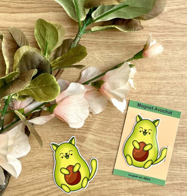 Magnets Avochat
