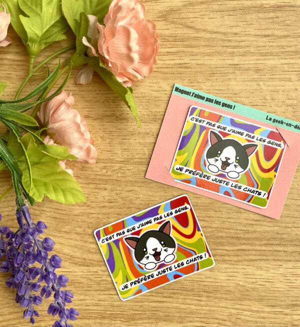 Magnet J'aime pas les gens