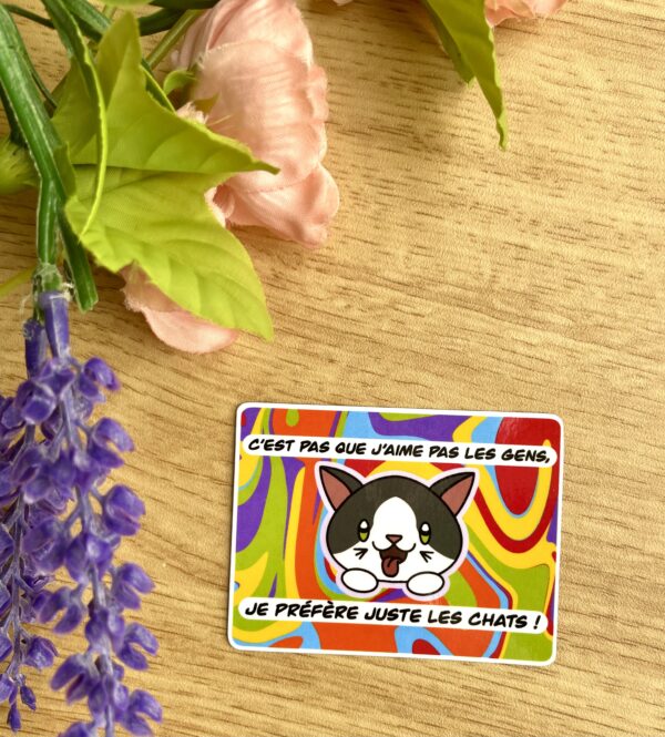 Magnet J'aime pas les gens