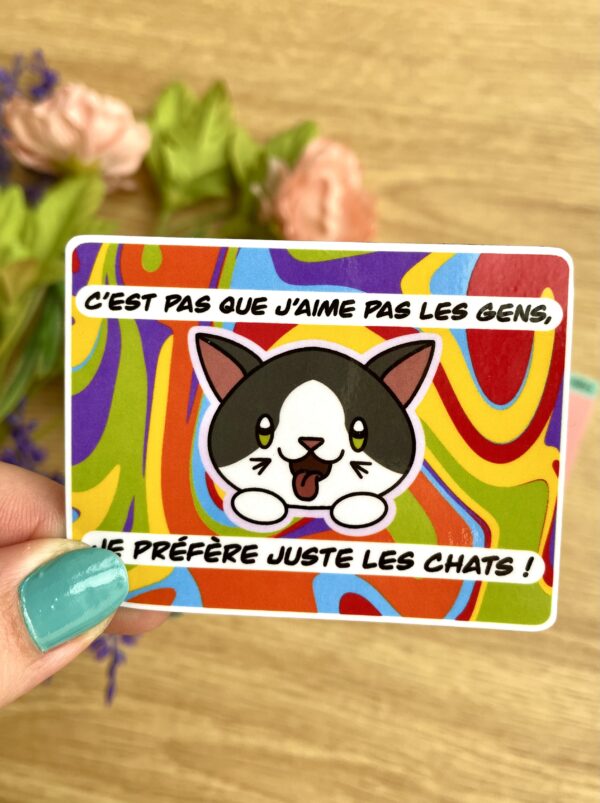 Magnet J'aime pas les gens