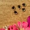 Charms Raisin pour porte-clés Shaker - Collection Pause gourmande